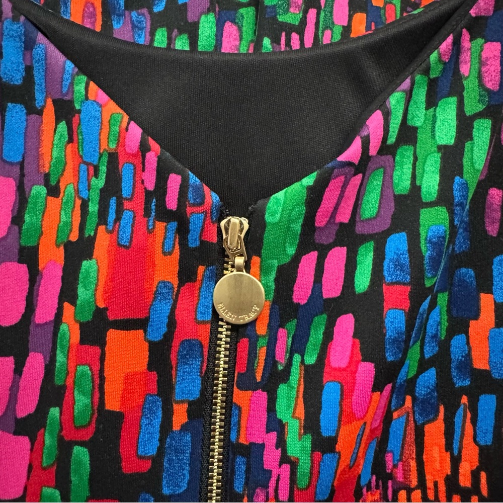 Ellen Tracy Bold Multicolor Abstract Print Sleeveless Belted Dress Size 14 - Picture 7 of 8